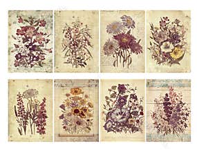 Set of eight shabby vintage floral cards with textured layers and text.