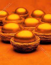 Gold Nest Egg Basket Savings