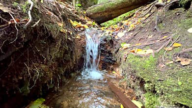 Water stream, clear pure spring with fresh drinking aqua flowing in nature, woodland among grounds