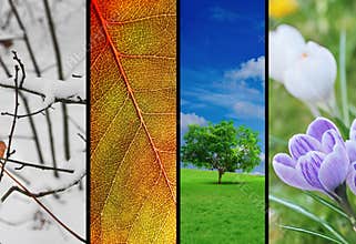 Four seasons