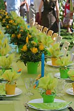 Garden party