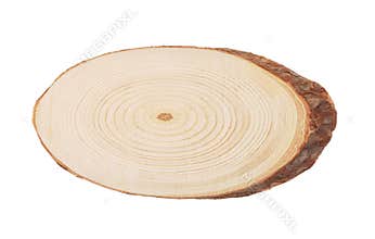 Front view of pine tree cross section