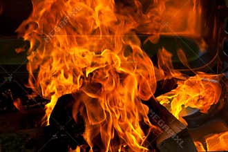 Fire wood BBQ