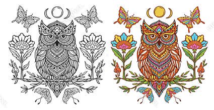 Owl mandala retro with butterfly. Vector illustration.