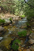 landscape, view, nature, plants, water, stream, mountain, flora
