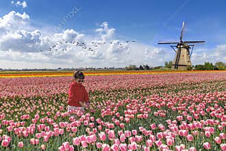 Little Asian girl in Dutch tulips farm