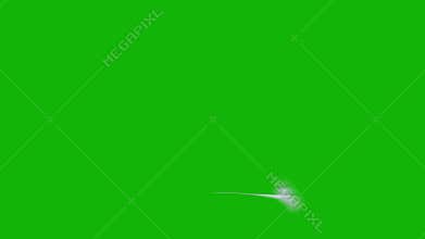 Web top quality animated green screen video 4k