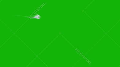Web top quality animated green screen video 4k