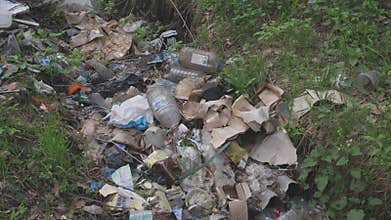 environmental problems illegal forest dumping