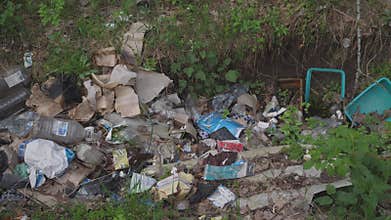 environmental problems illegal forest dumping