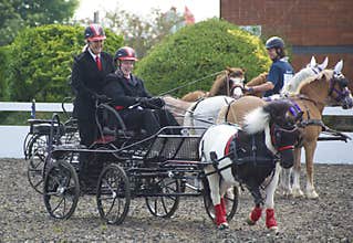 Carriage driving