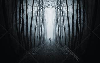 Man walking on a dark path in a strange dark forest with fog