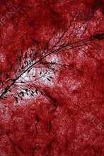 Dark red natural paper background