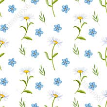Seamless background with chamomile and forget-me-not flowers. Watercolor floral illustration