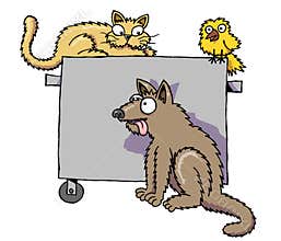 Street animals