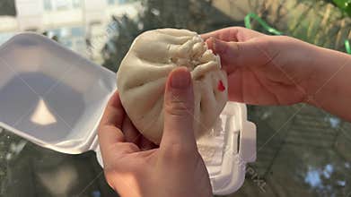 Vietnamese white bun Chinese steamed buns isolated on white