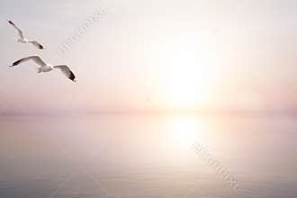 Art abstract beautiful light sea summer background