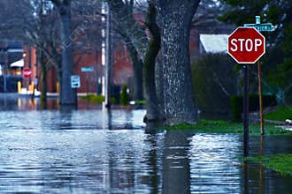 Flooded Street