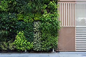 Vertical Garden