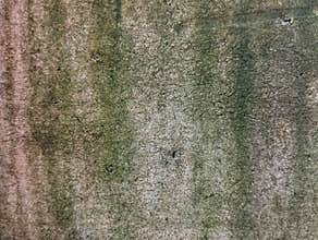 Wall texture with moss pattern for abstrack background or 3D rendering