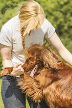 Dog owner cuddling