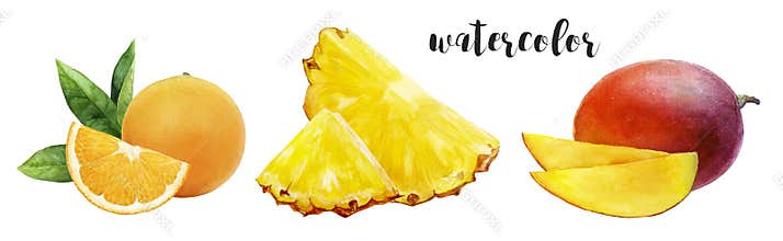 Bright and Colorful Watercolor Illustrations of Fruits Including Orange, Pineapple, and Mango