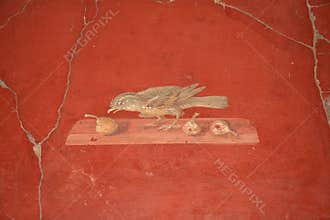 Bird mural in the Roman Villa Poppaea, Italy