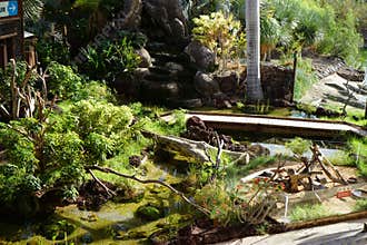 Decorative waterfall near the bridge over the pond and enclosures with crocodiles and other reptiles and amphibians. La Lajita