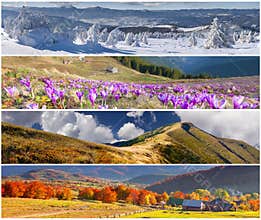Set of the 4 seasons landscape