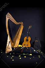 Instruments and rose