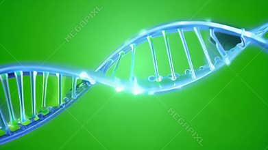 With each revolution the glowing DNA helix symbolizes the neverending quest to unravel the secrets of genetics. Green