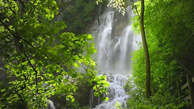 Gorgeous waterfalls framed with lush green vegetation