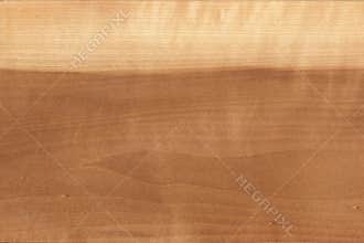 Delicate wood texture fine grain pattern
