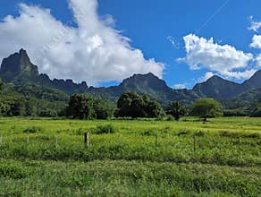 Beautiful landscape in Moorea