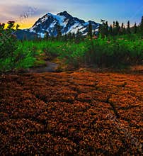Cracked from the Summer Heat during Sunrise, Washington State