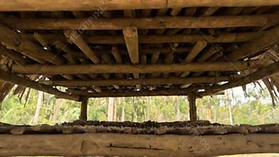 Cassava Gari Processing on Wooden Platform Under Thatched Roof Structure in Rural Setting Agricultural Production and