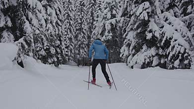Cross country skier moving through snowy forest trail