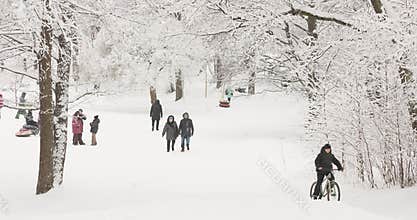 Russia, St. Petersburg, 15 January 2025: People are walking in magical forest, the trees are covered with snow, it is