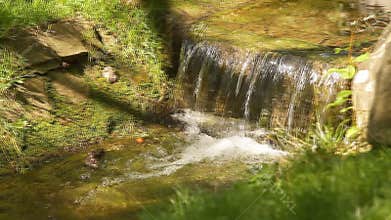 Water creek