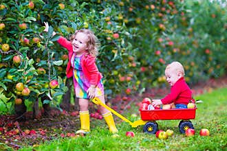 Kids playing in an apple garden