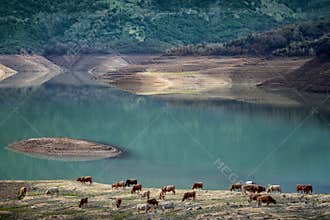 Green - A color pastoral scene