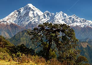 View of mount Dhaulagiri