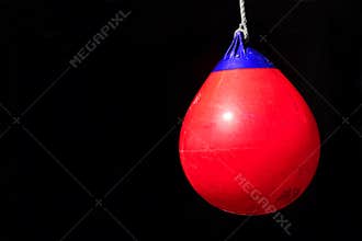 Ship bumper buoys