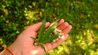 Cannabis supplements and homeopathy. Selective focus.