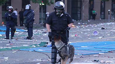 K9 officer with gas mask at riot - HD 1080p