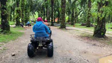 Tourists in convoy on ATV quad bikes riding through tropical palm forest in Phuket Thailand,