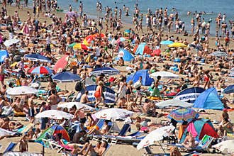 Crowded Beach in Summer