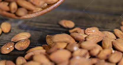 yellow-brown whole and unroasted almonds in a person's hand