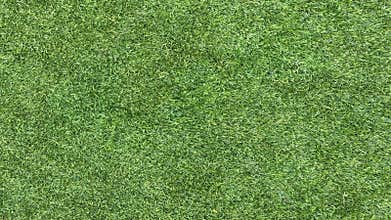 Seamless Top View Texture of Vibrant Green Cut Grass
