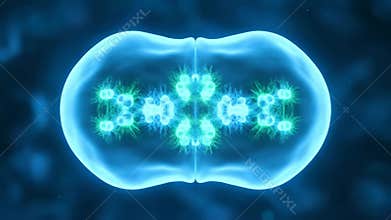 Cell Simulation Under Microscope Shows Tentacles and Cell Body on a Blue Background